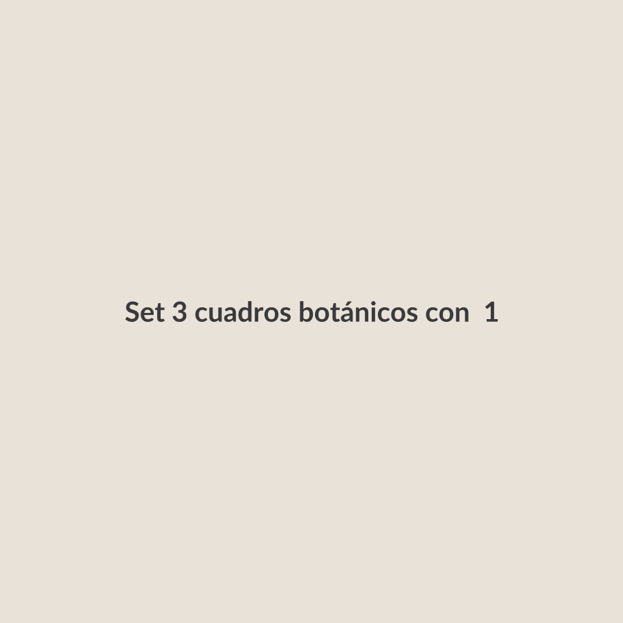 Set 3 cuadros botánicos con marco